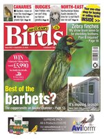 Cage & Aviary Birds